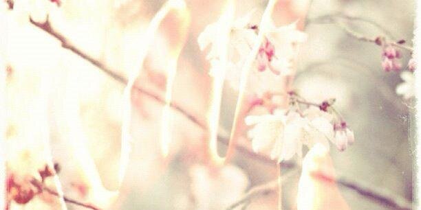 tomoelle's profile banner image