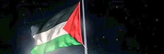 free Falestine banner