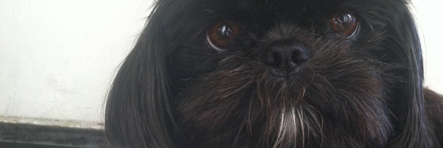 brittanytaay's profile banner image