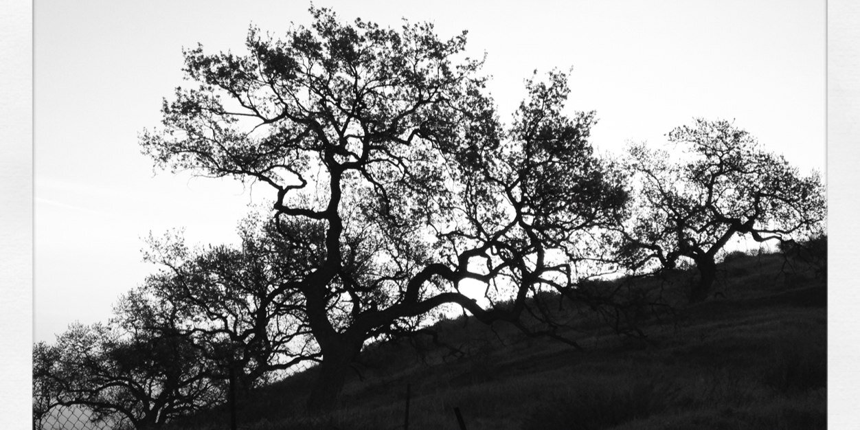 AaronLKing's profile banner image