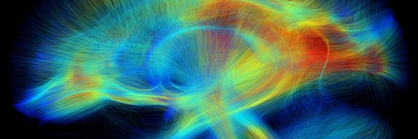 Pitt_Brain Profile Banner