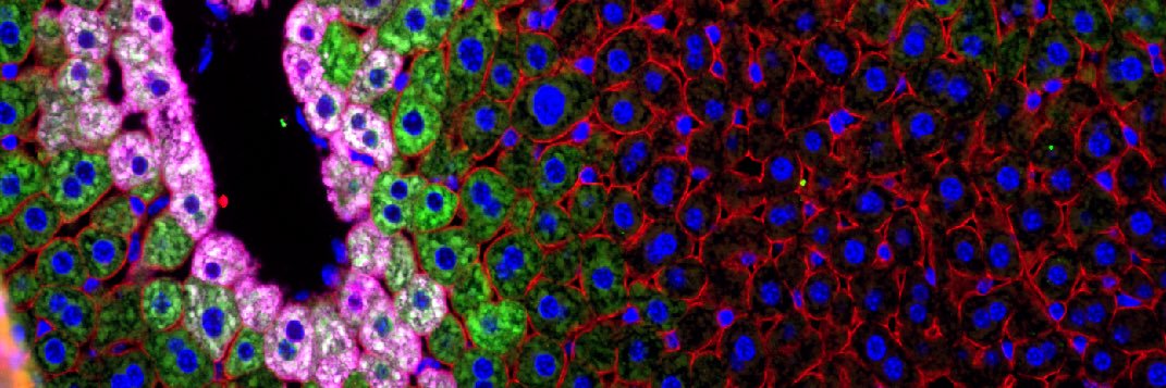 Andrew W. Duncan banner