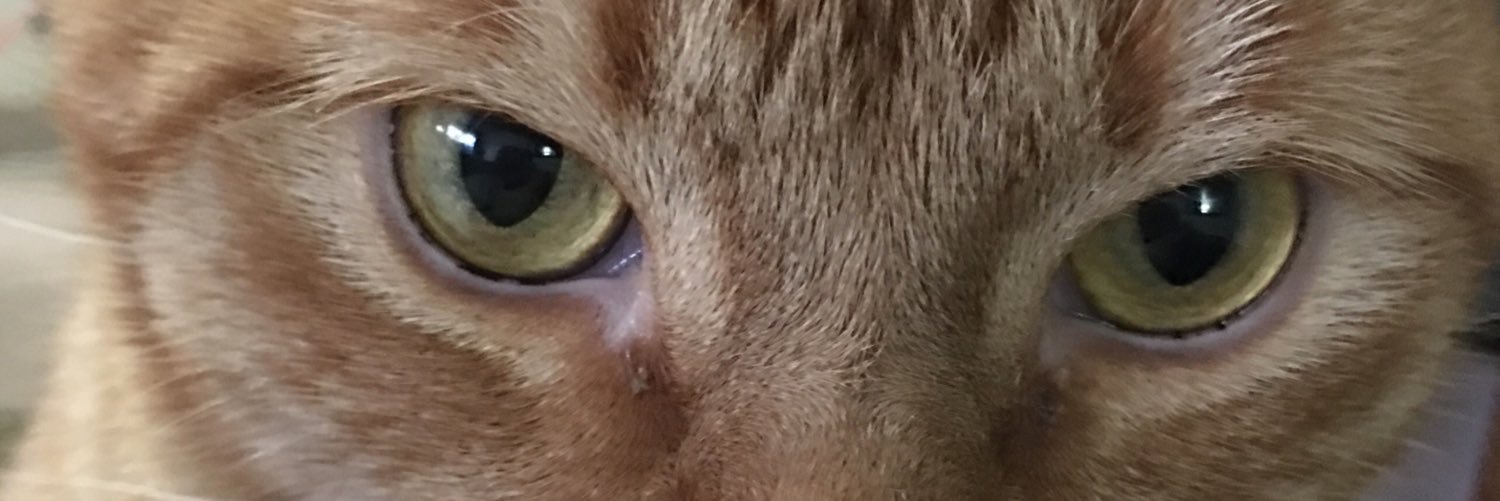VikeeMe's profile banner image