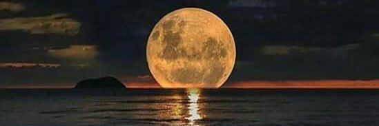 MOSoccerCoach banner