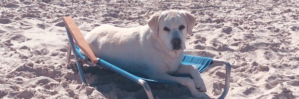 WayneOlan Profile Banner