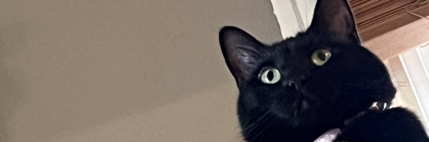 tinapiie's profile banner image