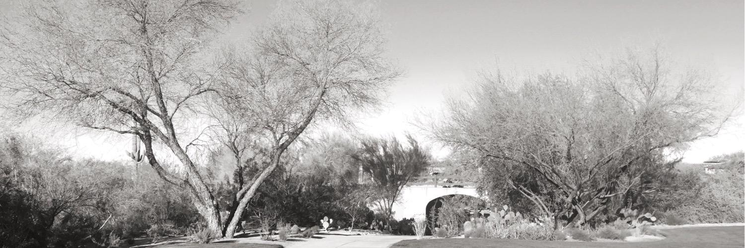 MoisesMartinezU's profile banner image