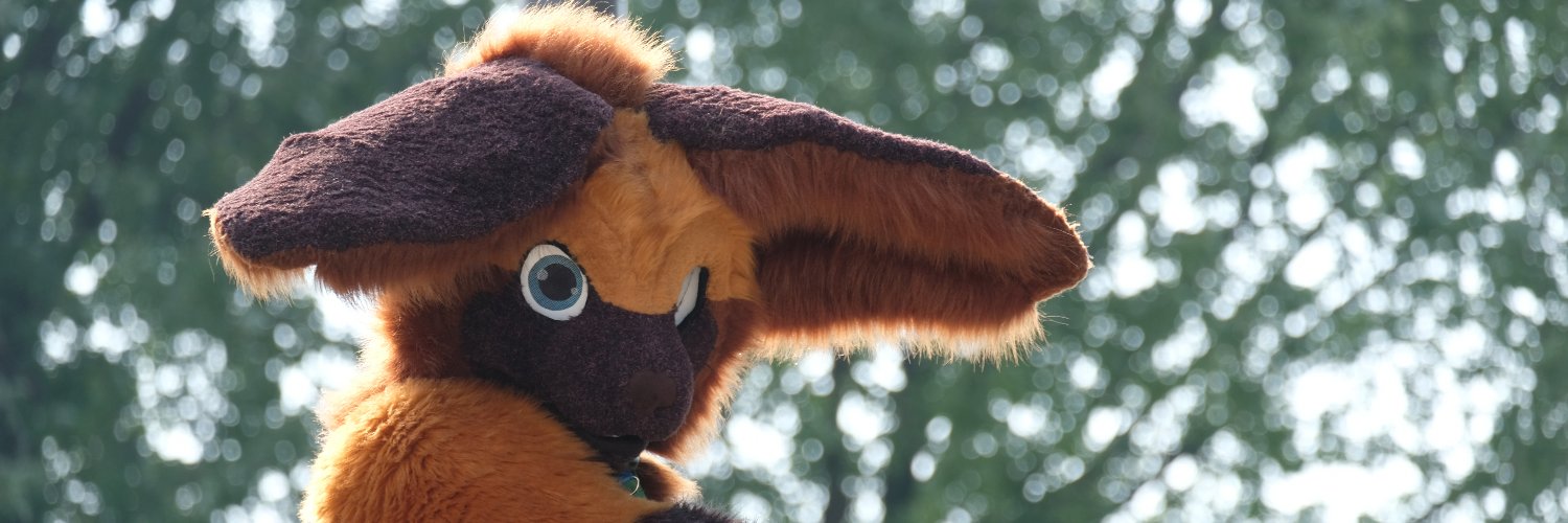 The World of SoXX banner