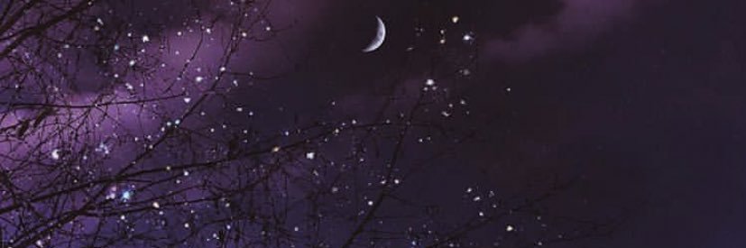 leialohalk's profile banner image
