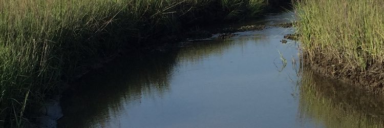 BrayDustin's profile banner image