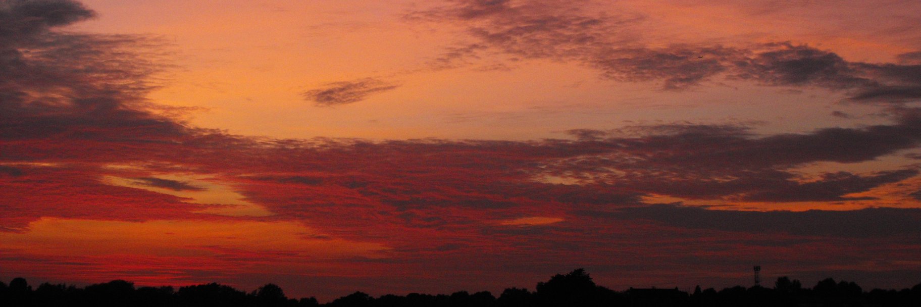 Kevin Bradshaw banner