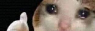 teghan97xo's profile banner image