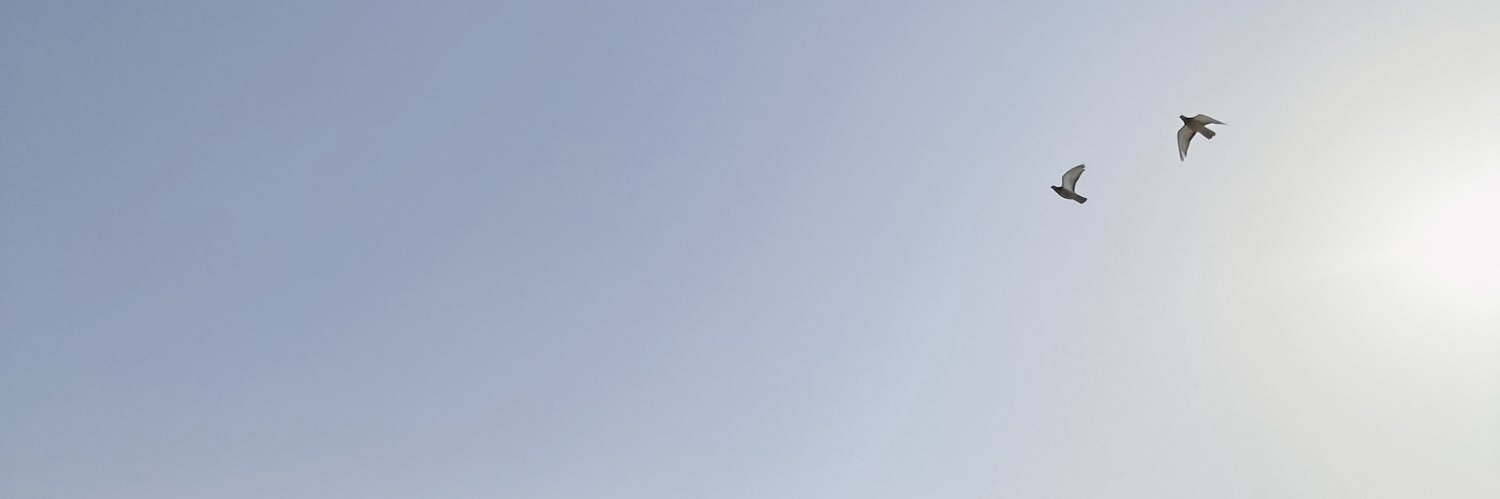 Niningt25's profile banner image