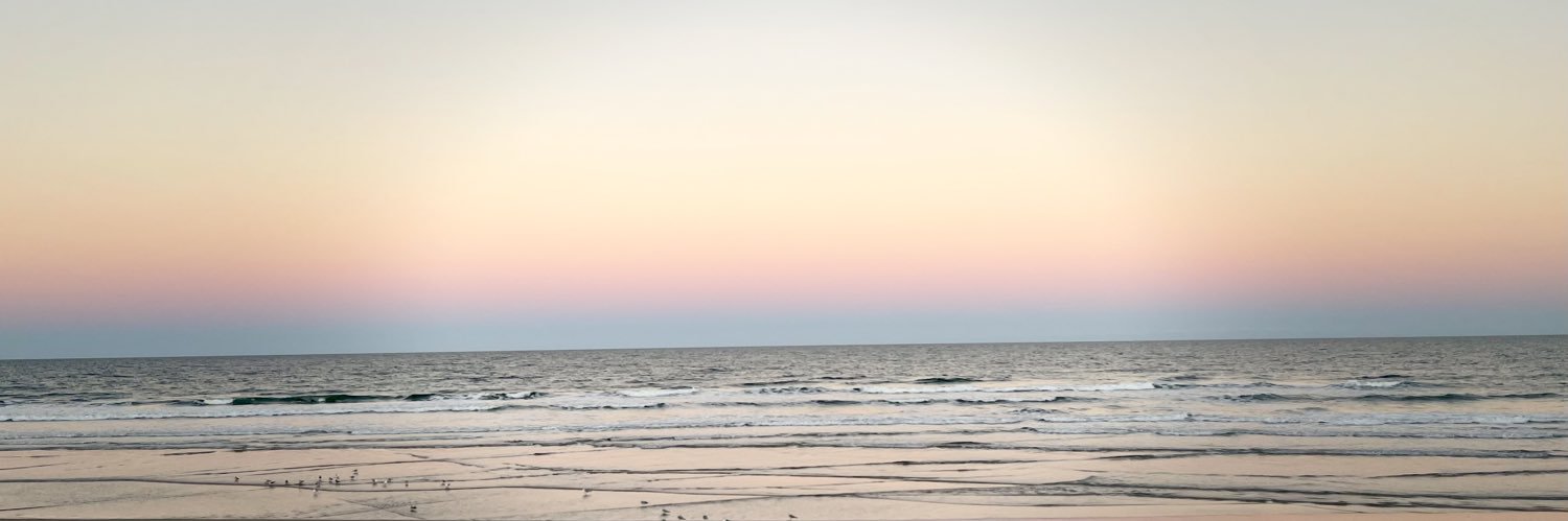 ashleevallad's profile banner image