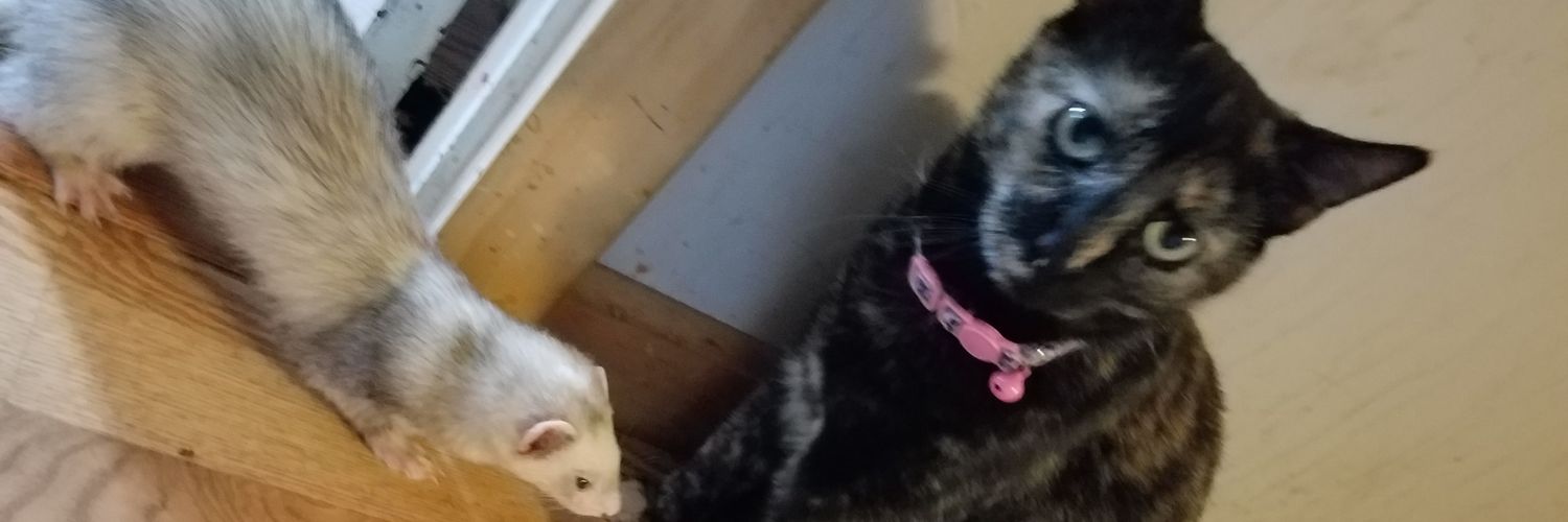 JennCarr76's profile banner image