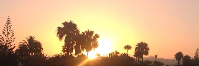 Pieter van Knippenberg banner