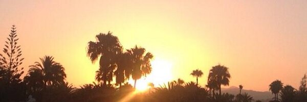 pvanknippenberg Profile Banner