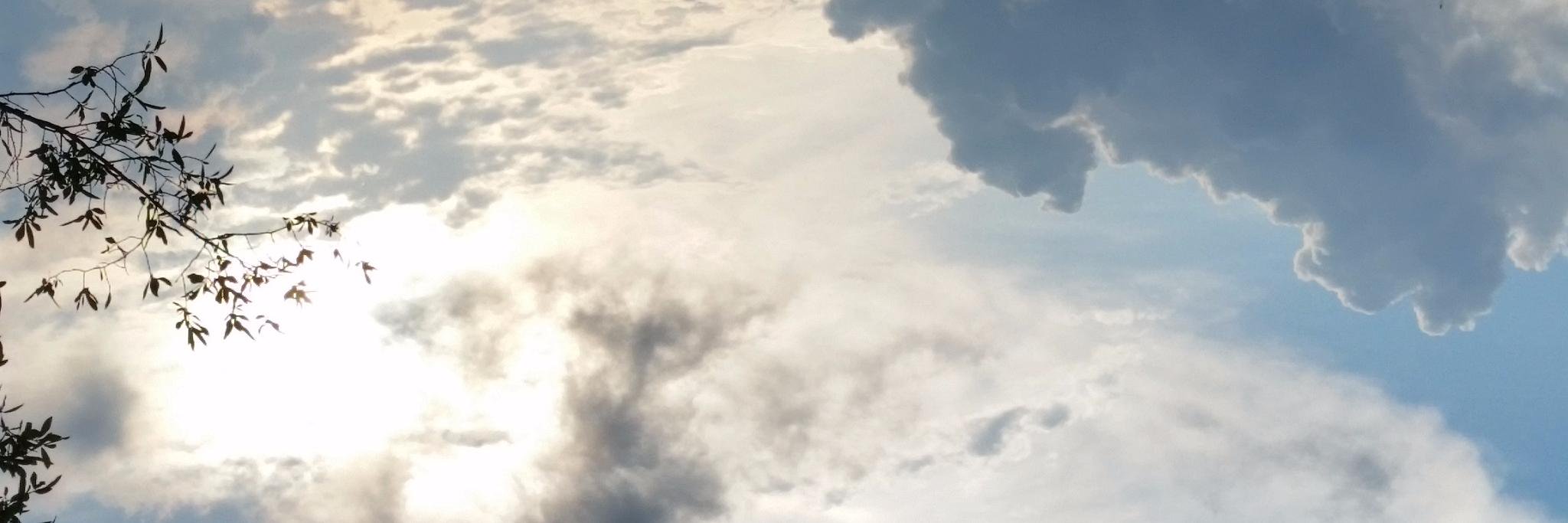 LyricalFool's profile banner image