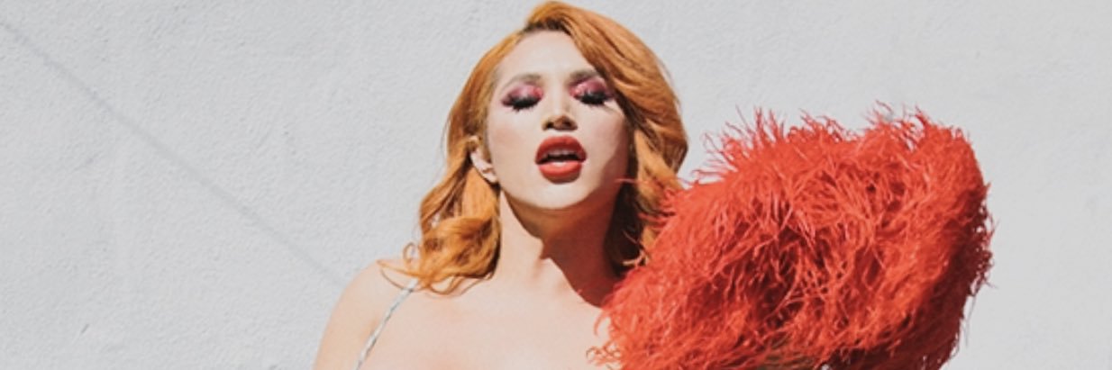 sofia ferreira banner