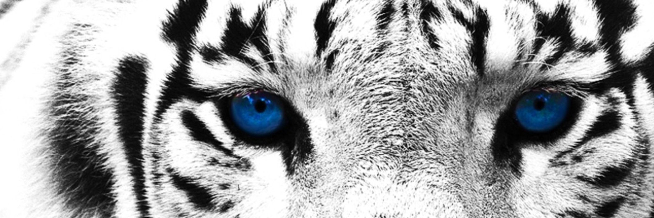 gsmartinez11's profile banner image