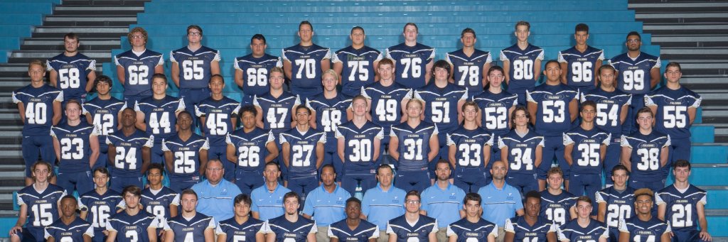Falcons Football BC banner