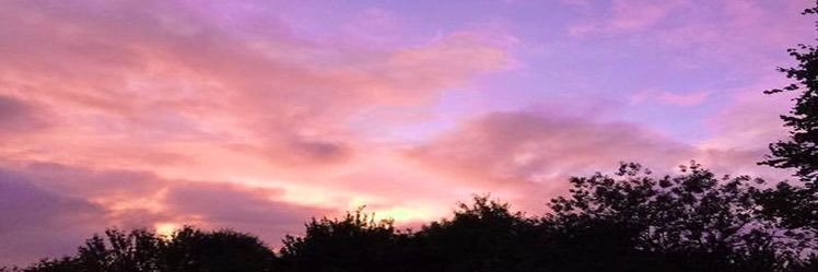 MariellFdz's profile banner image