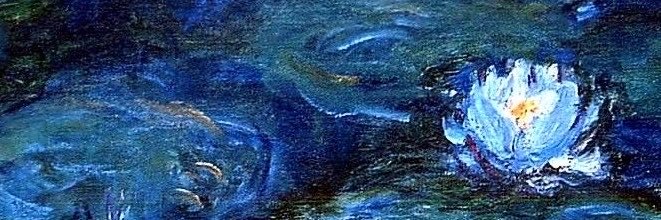 MaylethZamudio's profile banner image