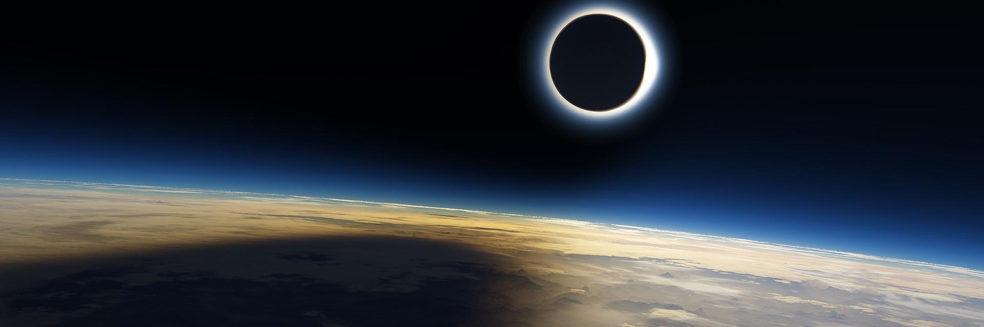 Davide Taviani banner