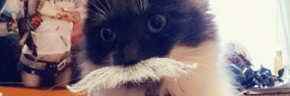 KSIMissCookie's profile banner image