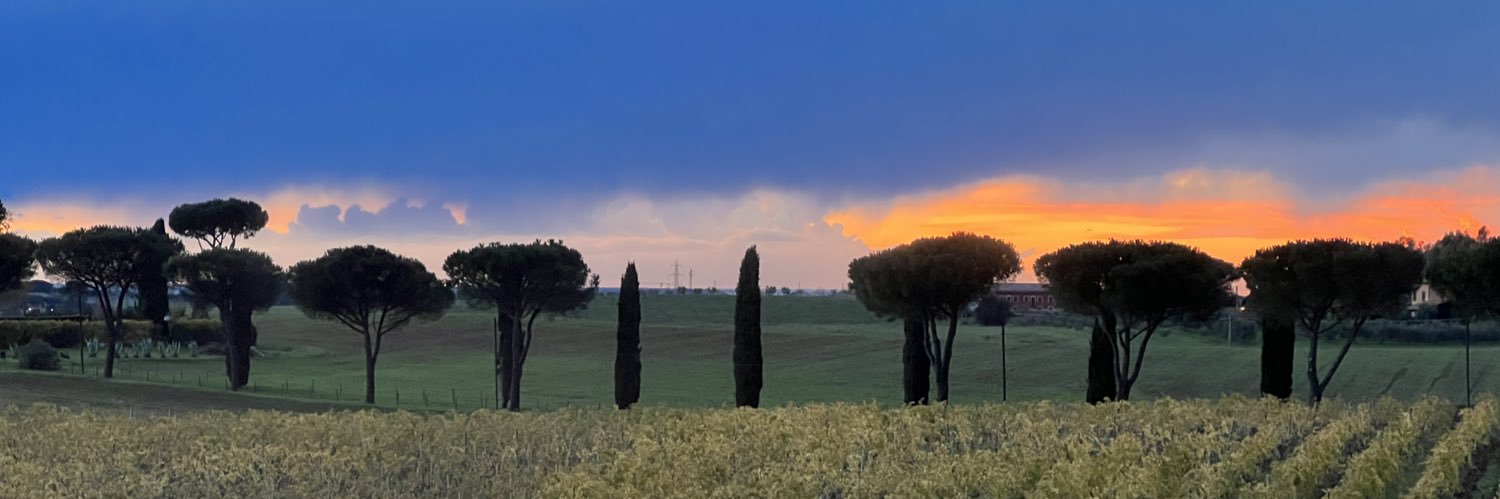 Milhouse romanista sefardito banner