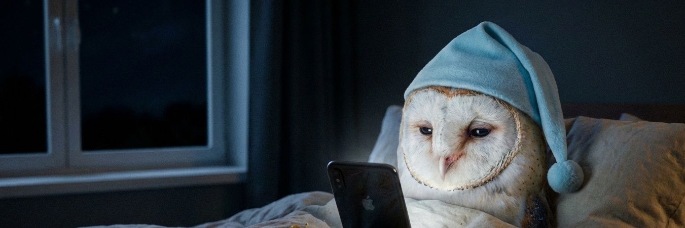 owls0452's profile banner image