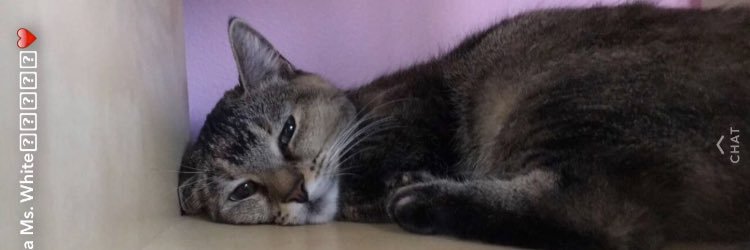 Michey_97's profile banner image