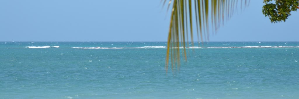liveforbeach's profile banner image