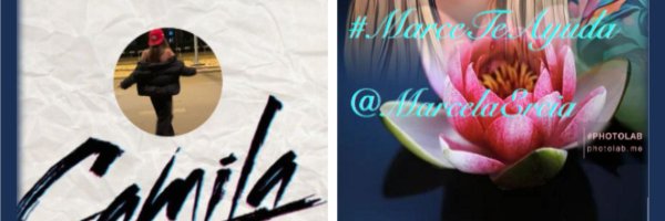 ElanaFernande Profile Banner