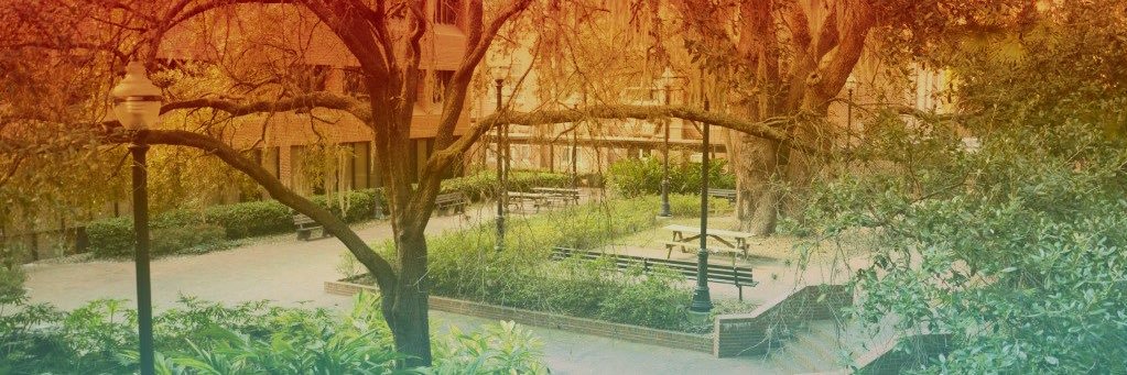 mcommeret_'s profile banner image