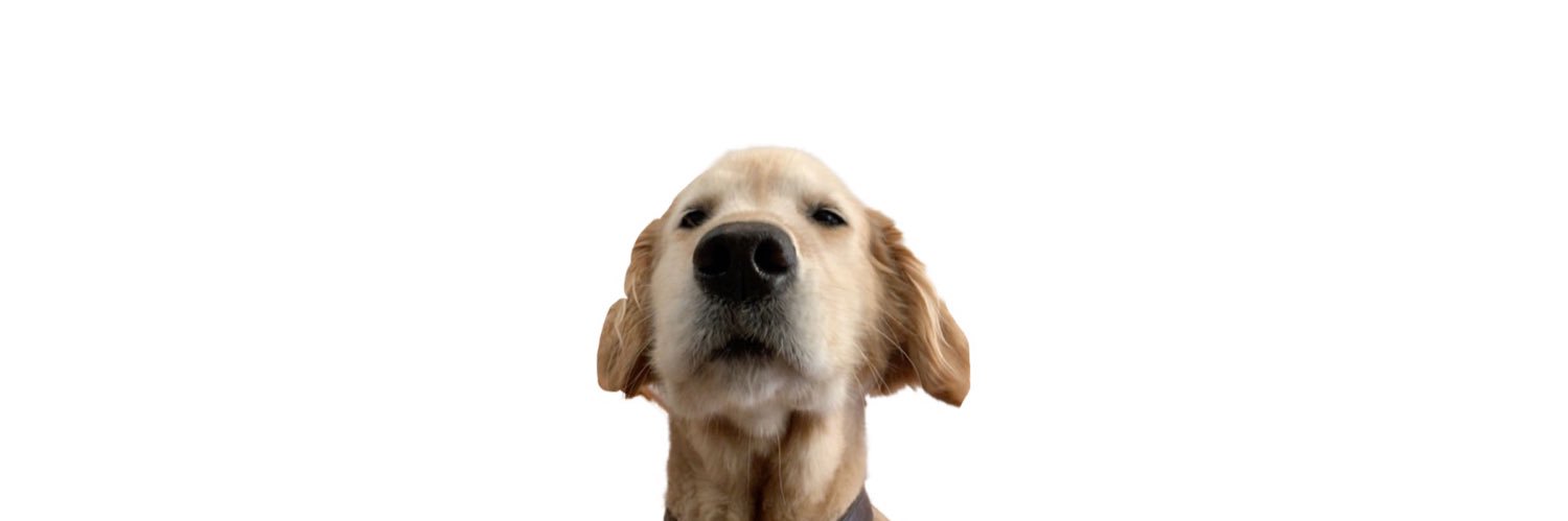 mrblickles's profile banner image