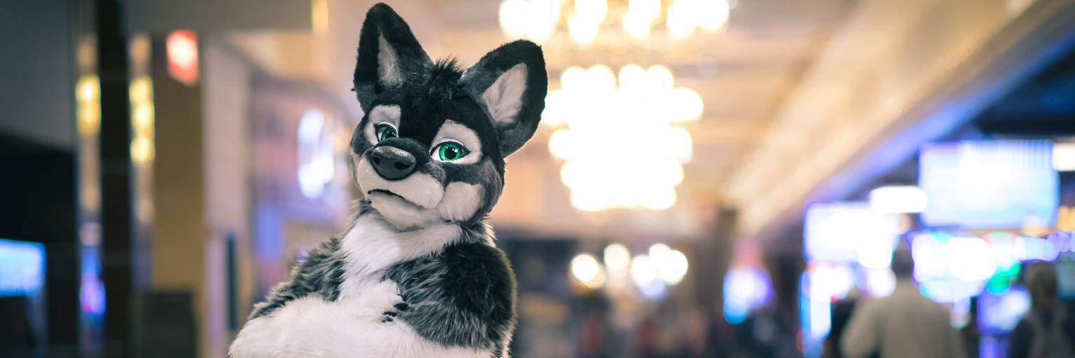 OkamiFur's profile banner image