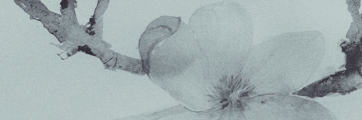 ᅠ⋆ banner
