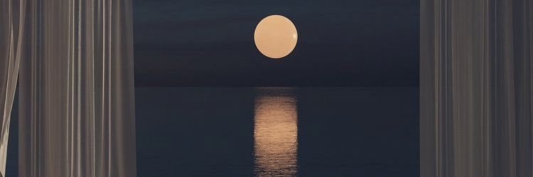 harold_dillon19's profile banner image