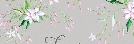 pawpow banner
