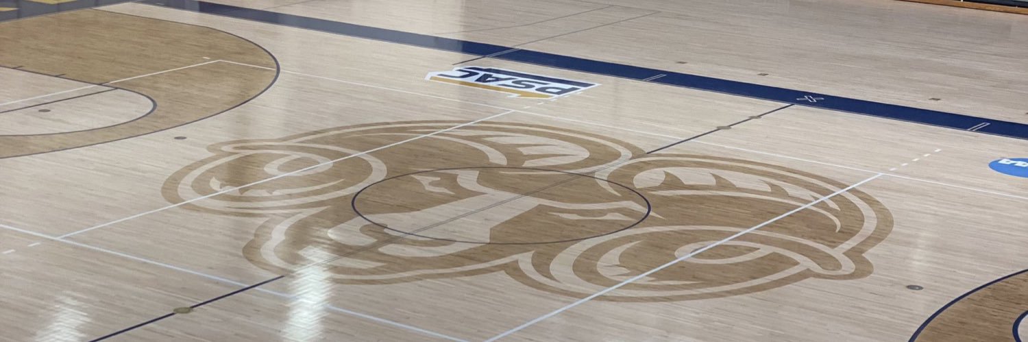 Shepherd Basketball banner