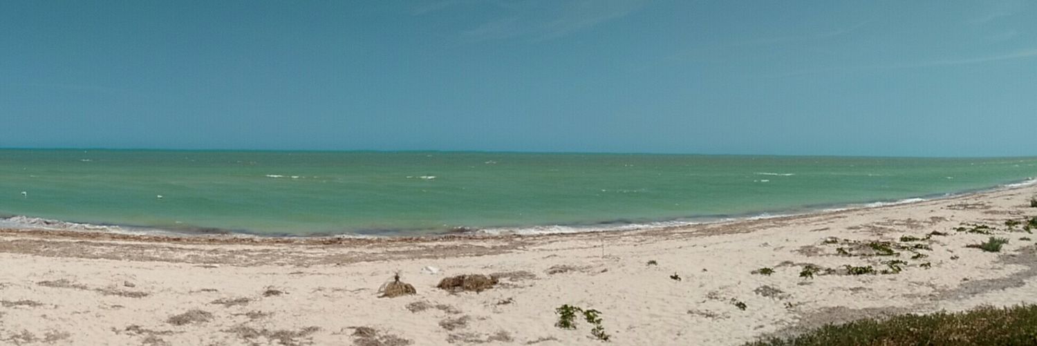 Dimitri Montero Diaz banner