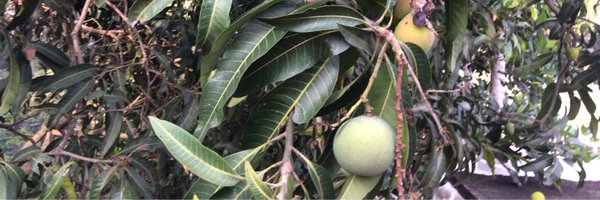 ferozikbal Profile Banner