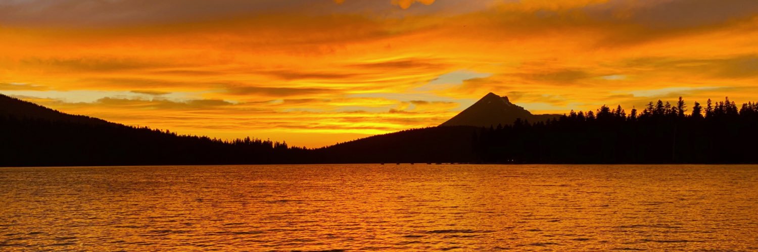 Danforth Comins banner