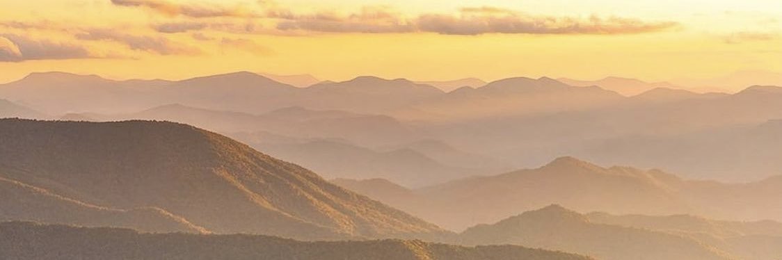 TeresaSCarpen's profile banner image