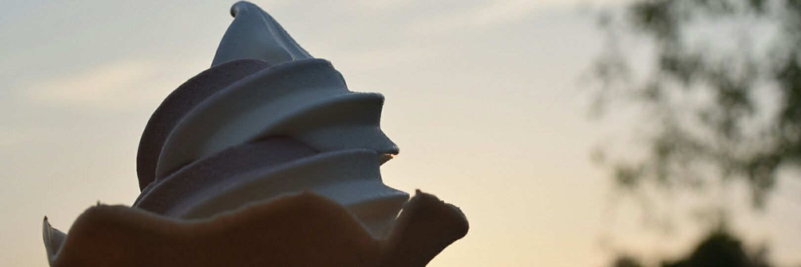 ReanCua's profile banner image