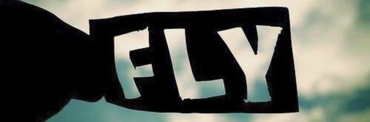 Mii *｡〜✈︎ banner