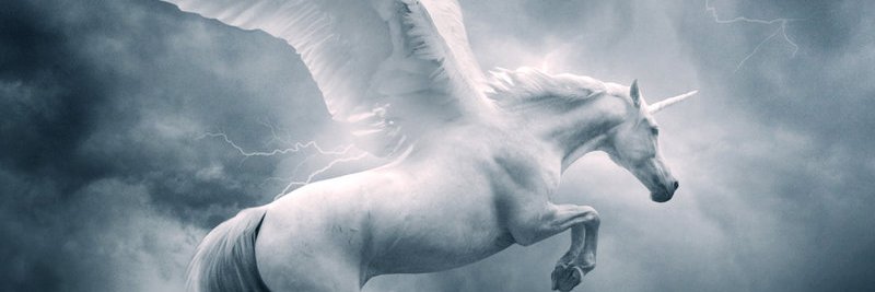 WingedEgo's profile banner image
