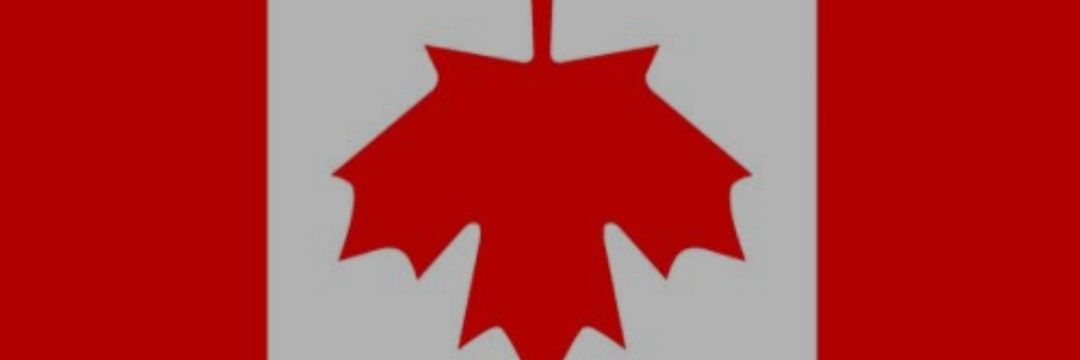 Lest We Forget's banner