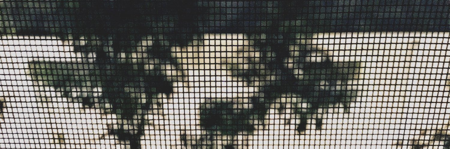 erin 🏳️‍⚧️ banner